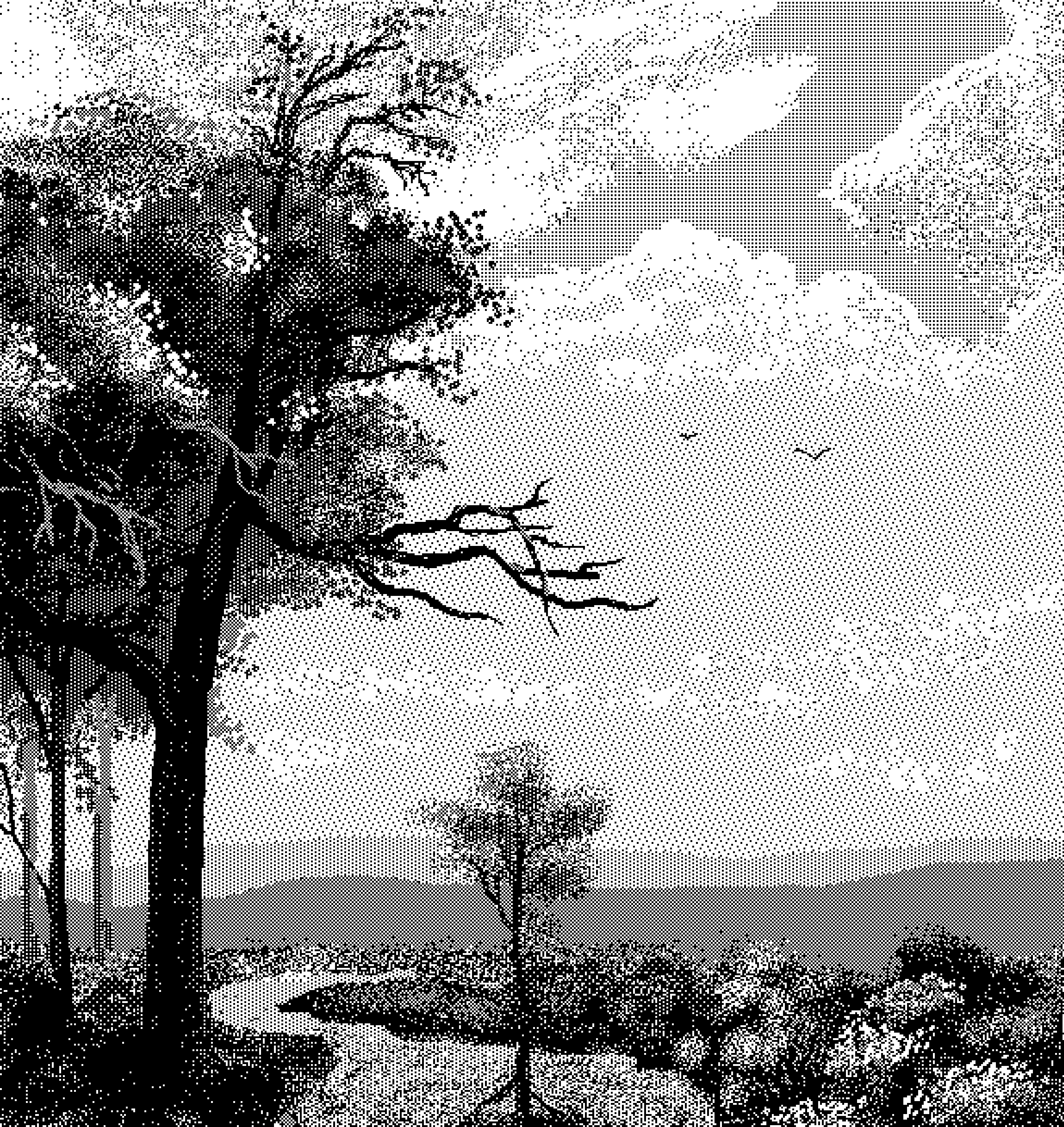 Sky background